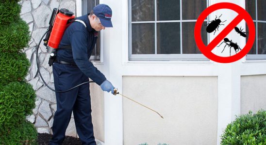 Kuşadası Dezenfeksiyon böcek ilaçlama ve haşere kontrolü — ilaclama-tr.com